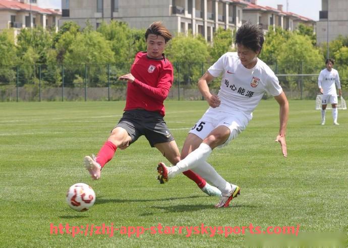 星空体育app-哪些德甲球队曾打入欧冠与欧联杯？战绩概览